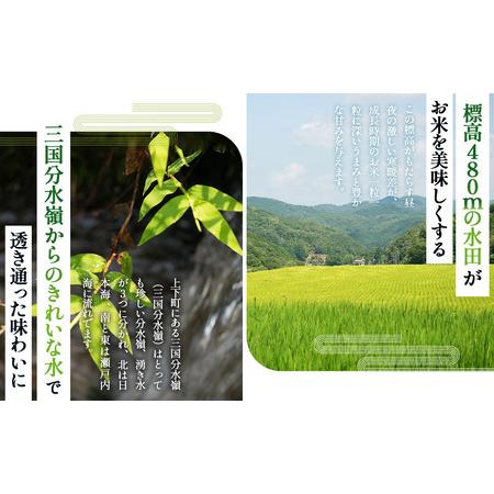 ふるさと納税 「お米のめん」セット 酵素で培った四八米 白米麺 グルテンフリー 1kg ／ 麺 米粉麺 お米の麺 ライスヌードル 白米麺 小麦不使用 .. 広島県府中市の画像