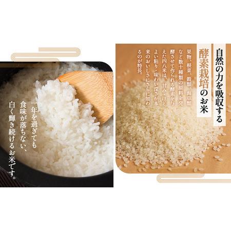 ふるさと納税 「お米のめん」セット 酵素で培った四八米 白米麺 グルテンフリー 1kg ／ 麺 米粉麺 お米の麺 ライスヌードル 白米麺 小麦不使用 .. 広島県府中市の画像