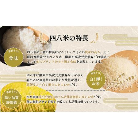 ふるさと納税 「お米のめん」セット 酵素で培った四八米 白米麺 グルテンフリー 1kg ／ 麺 米粉麺 お米の麺 ライスヌードル 白米麺 小麦不使用 .. 広島県府中市の画像