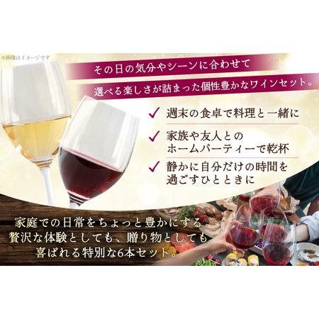 ふるさと納税 個人的特徴惜しみ無いな韮崎産赤白ロゼスパークリング6種 飲み比べ仕かける [株式会社まあめいく 山梨県 韮崎市 20745326] 山梨県韮崎市