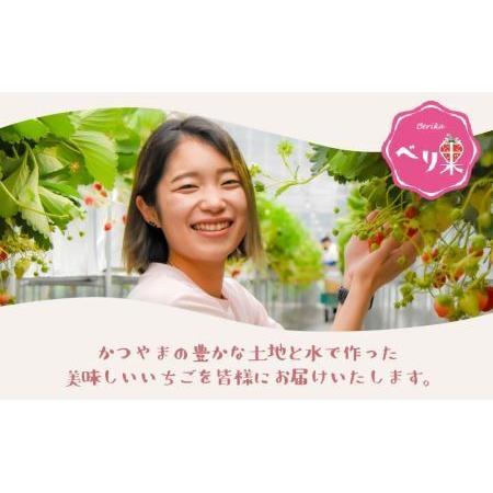 ふるさと納税 どら焼きアイス3個セット[A-045012 ]  福井県勝山市の画像