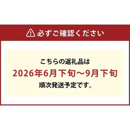 ふるさと納税 もっとも旬な品種の桃をお届け 岡山の桃 2kg【2026年6月下旬〜9月下旬 発送予定】【桃 人気フルーツ 人気桃 おすすめフルーツ 岡山.. 岡山県倉敷市の画像