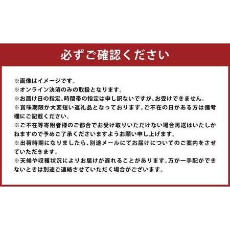 ふるさと納税 もっとも旬な品種の桃をお届け 岡山の桃 2kg【2026年6月下旬〜9月下旬 発送予定】【桃 人気フルーツ 人気桃 おすすめフルーツ 岡山.. 岡山県倉敷市の画像