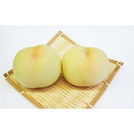 ふるさと納税 もっとも旬な品種の桃をお届け 岡山の桃 2kg【2026年6月下旬〜9月下旬 発送予定】【桃 人気フルーツ 人気桃 おすすめフルーツ 岡山.. 岡山県倉敷市の画像