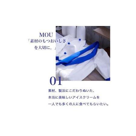 ふるさと納税 119.【定期便3ケ月】MOW（モウ） バニラ9個セット 静岡県裾野市の画像