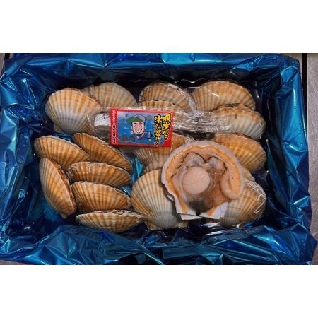 ふるさと納税 【北海道根室産】活ホタテ貝20枚(計3.5kg〜4kg) B-45016 北海道根室市の画像