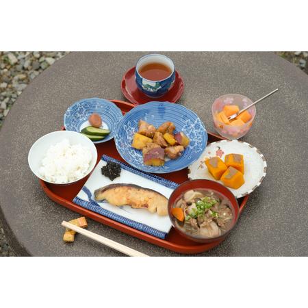 ふるさと納税 烏梅紅花染め体験 タペストリーコース 84-004 奈良県奈良市_3