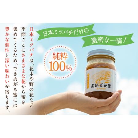 ふるさと納税 AJ445 はちみつ 国産 百花蜜 500g 1個 日本ミツバチ 純粋 100% [ 安中梅林を育てる会 蜂蜜 ハチミツ 非加熱 無添加 長崎県 島原市 .. 長崎県島原市の画像