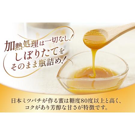 ふるさと納税 AJ444 はちみつ 国産 百花蜜 250g 2個 日本ミツバチ 純粋 100% [ 安中梅林を育てる会 蜂蜜 ハチミツ 非加熱 無添加 長崎県 島原市 .. 長崎県島原市の画像