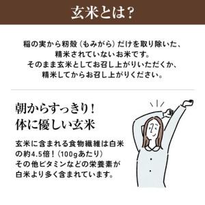 ふるさと納税 【令和7年産】近江米きぬむすめ玄米30kg 滋賀県甲賀市_3