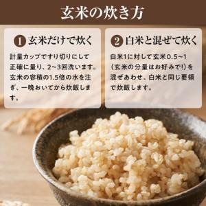ふるさと納税 【令和7年産】近江米きぬむすめ玄米30kg 滋賀県甲賀市_4