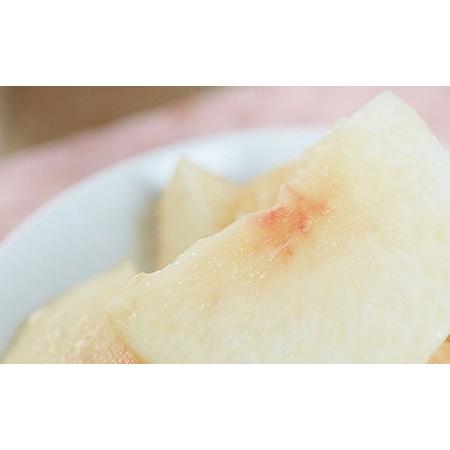 ふるさと納税 桃 2026年 先行予約 白桃 2玉入り 合計500g前後 岡山県産もも モモ 岡山県産 国産 フルーツ 果物 ギフト 岡山県瀬戸内市の画像