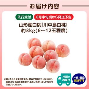 ふるさと納税 《先行受付》★山形産白桃『川中島白桃』★約3kg(6〜12玉程度)秀品【2026年8月中旬頃〜順次発送予定】 063-017 山形県大江町の画像