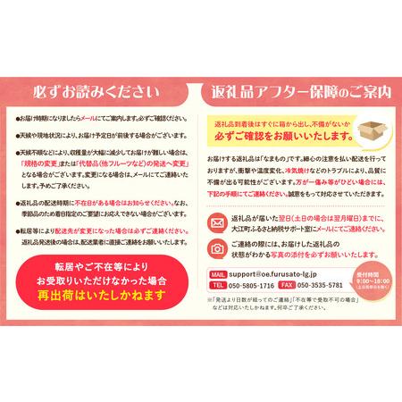 ふるさと納税 《先行受付》★山形産白桃『川中島白桃』★約3kg(6〜12玉程度)秀品【2026年8月中旬頃〜順次発送予定】 063-017 山形県大江町の画像
