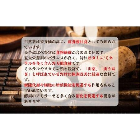 ふるさと納税 自然薯 約1kg~1.2kg 山芋 とろろ 山芋 とろろ 千葉県銚子市 弥兵衛 千葉県銚子市の画像