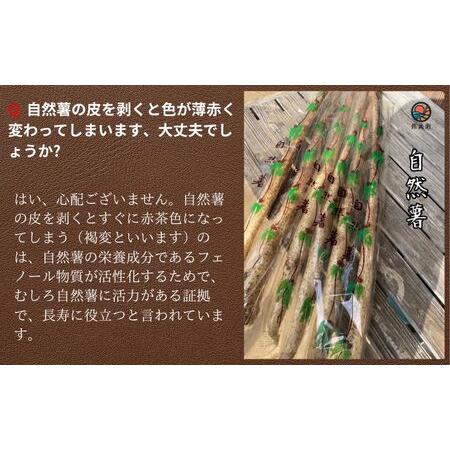 ふるさと納税 自然薯 約1kg~1.2kg 山芋 とろろ 山芋 とろろ 千葉県銚子市 弥兵衛 千葉県銚子市の画像