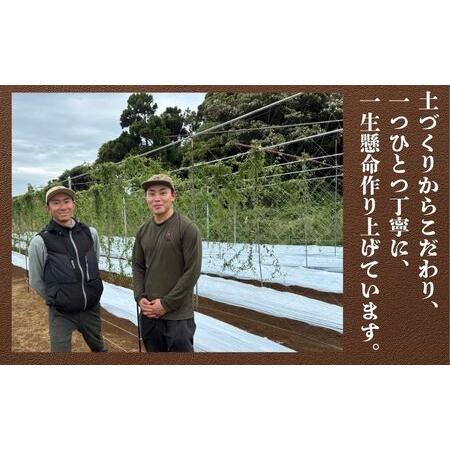 ふるさと納税 自然薯 約1kg~1.2kg 山芋 とろろ 山芋 とろろ 千葉県銚子市 弥兵衛 千葉県銚子市の画像