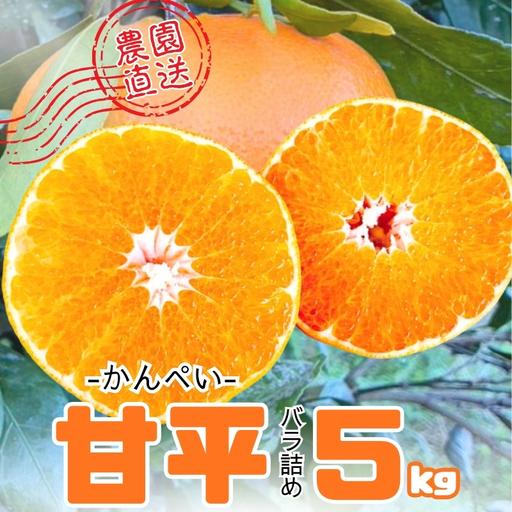 ふるさと納税 [2027年先行予約]みかん 甘平 5kg M〜3Lサイズ バラ詰め 農園直送[2027年2月上旬から順次発送予定] 愛媛 数量限定 愛媛県産 .. 愛媛県伊予市