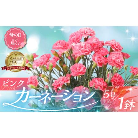 ふるさと納税 [ふるなびWEEK対象] [母の日までにお届け][ピンク]カーネーション 花 フラワー プレゼント FN-Limited-WE 愛知県田原市