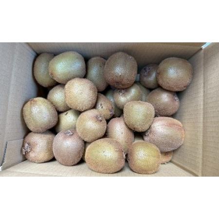 ふるさと納税 【2026年先行予約】キウイ バラ詰め 2kg  ご家庭用 農園直送 先行予約 【10月中旬から順次発送予定】 キウイフルーツ 愛媛 数量限.. 愛媛県伊予市_1