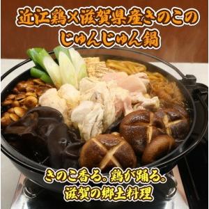 ふるさと納税 ふるさとの味を楽しむ！ きのこのじゅんじゅん鍋セット 近江鶏版 滋賀県甲賀市_1