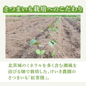 ふるさと納税 「特撰」干し芋紅常陸 丸干し 700ｇ【紅常陸 べにひたち さつまいも サツマイモ 甘い おいしい 袋詰め ギフトボックス 】(BV012.. 茨城県北茨城市の画像