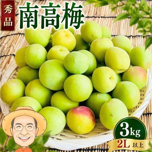 ふるさと納税 南高梅 青梅 約3kg (+補償100g) [秀品]2L以上 カキエモン農園 [BX-kkem009A] 和歌山県かつらぎ町
