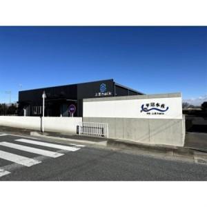 ふるさと納税 上里育ちの侍うなぎ白焼き 150g×5尾【配送不可地域：離島】【1670312】 埼玉県上里町の画像