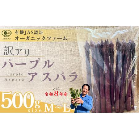 ふるさと納税 [先行予約] 訳あり オーガニック パープルアスパラガス M〜L 500g アスパラガス 山口県宇部市