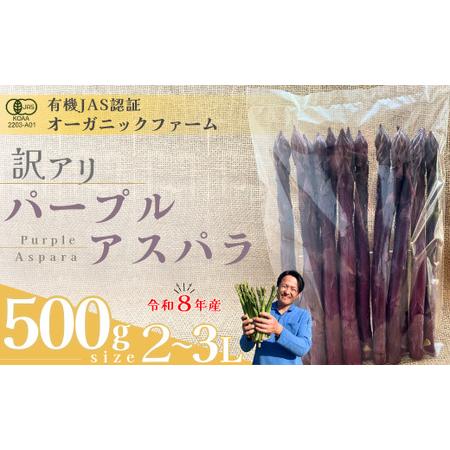 ふるさと納税 [アスパラガス] 訳あり オーガニック パープルアスパラガス 2L〜3L 500g [先行予約] 山口県宇部市