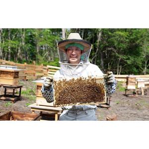 ふるさと納税 長野原町産 生はちみつ 大容量600gパウチ ＋ 300gボトル 詰め替えセット【蜂蜜 ハチミツ ギフト 詰合せ 群馬県 長野原町 北軽井.. 群馬県長野原町_1