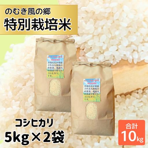 ふるさと納税 米 令和7年産 コシヒカリ 特別栽培 のむき風の郷 精米 5kg×2袋[B-024004] 福井県勝山市