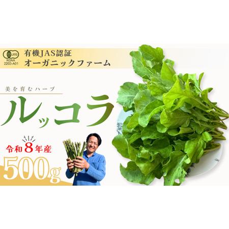 ふるさと納税 オーガニック ルッコラ 500g オーガニック ルッコラ 山口県宇部市
