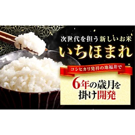 ふるさと納税 【3回定期便】お米 福井県産いちほまれ お米 10kg 小浜市 梅田東米穀店[BFEK033] 福井県小浜市の画像