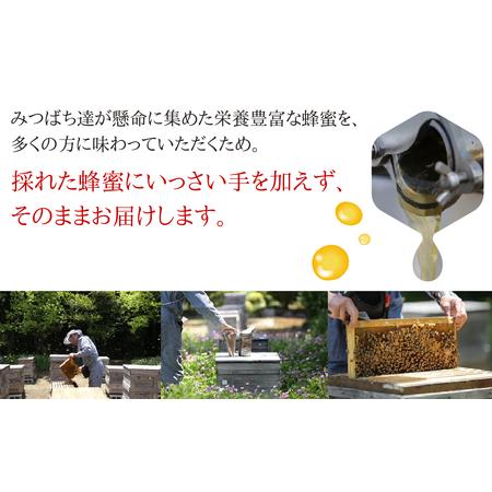 ふるさと納税 【国産蜂蜜】 季節の蜂蜜食べ比べ定期便 3回 (各90g×2回）  岐阜県大垣市の画像