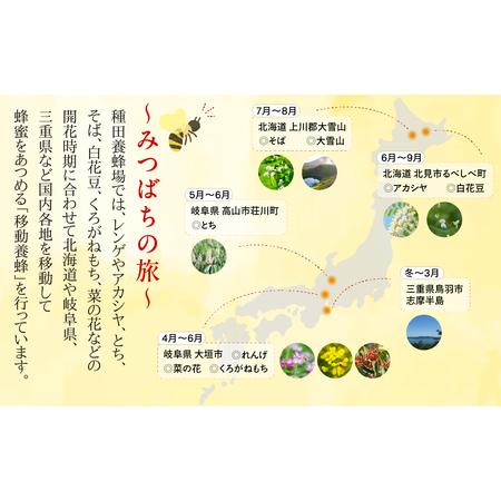 ふるさと納税 【国産蜂蜜】 季節の蜂蜜食べ比べ定期便 3回 (各90g×2回）  岐阜県大垣市の画像