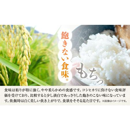 ふるさと納税 【令和7年産】 無洗米 8kg お米 8キロ 国産 岡山県産 きぬむすめ 8kg(2kg×4袋) 全農パールライス株式会社《30日以内に出荷予.. 岡山県浅口市_1