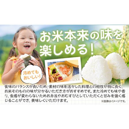 ふるさと納税 【令和7年産】 無洗米 8kg お米 8キロ 国産 岡山県産 きぬむすめ 8kg(2kg×4袋) 全農パールライス株式会社《30日以内に出荷予.. 岡山県浅口市_2