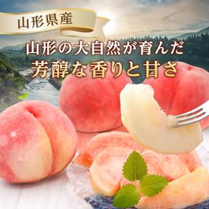 ふるさと納税 《先行受付》★硬い白桃（品種おまかせ）★約3kg(6〜12玉程度)秀品【2026年8月中旬頃〜順次発送予定】 063-016 山形県大江町の画像