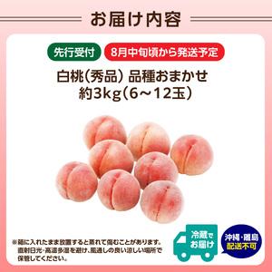 ふるさと納税 《先行受付》★硬い白桃（品種おまかせ）★約3kg(6〜12玉程度)秀品【2026年8月中旬頃〜順次発送予定】 063-016 山形県大江町の画像