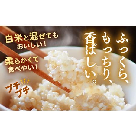 ふるさと納税 【期間限定】【3ヶ月連続お届け】【令和7年産】発芽玄米 コシヒカリ「特選」特別栽培米使用 2kg×3回（計6kg）【米 こしひかり.. 福井県坂井市_1