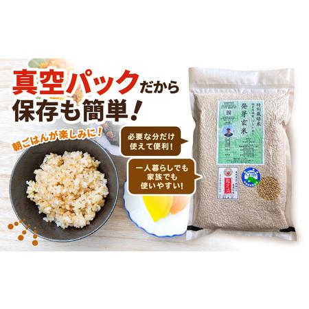 ふるさと納税 【期間限定】【3ヶ月連続お届け】【令和7年産】発芽玄米 コシヒカリ「特選」特別栽培米使用 2kg×3回（計6kg）【米 こしひかり.. 福井県坂井市_3