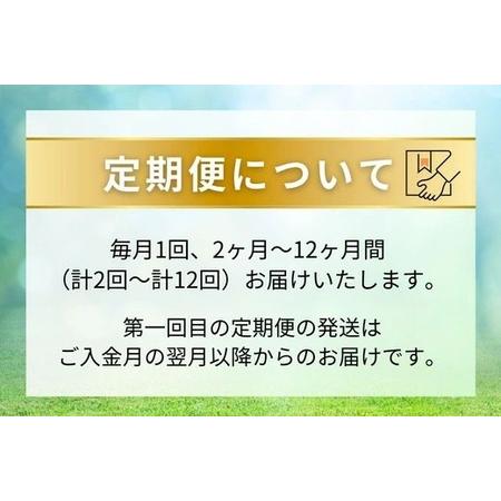 ふるさと納税 【定期便8ヶ月】静岡県産 緑茶 500ml×24本 ｜ ラベルレス ペットボトル お茶 飲料 ※沖縄・離島への配送不可 静岡県御殿場市の画像