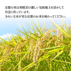ふるさと納税 【玄米】定期便 6回 令和7年産 丹後コシヒカリ 玄米 5kg 京都府の画像