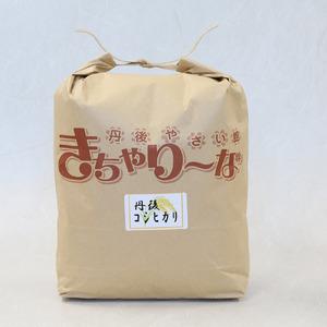 ふるさと納税 【玄米】定期便 6回 令和7年産 丹後コシヒカリ 玄米 5kg 京都府の画像