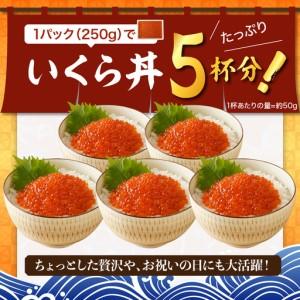 ふるさと納税 鱒 いくら 醤油漬 250g 北海道えりも町_2