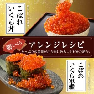 ふるさと納税 鱒 いくら 醤油漬 250g 北海道えりも町_4