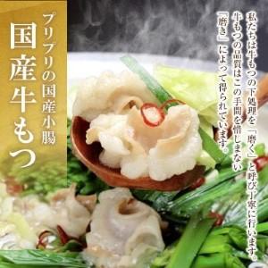 ふるさと納税 Y69-05 おどろきっちん 博多明太もつ鍋セット(九州醤油仕立て) 2〜3人前 もつ鍋 福岡県福智町