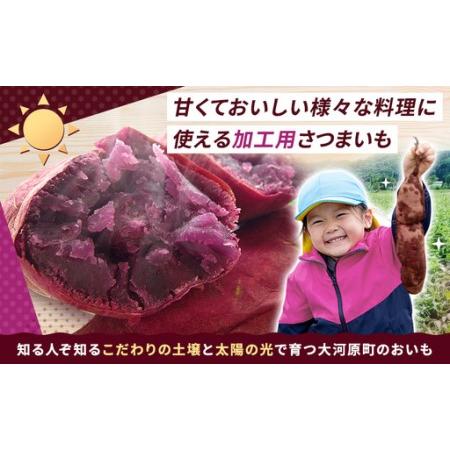 ふるさと納税 さつまいも 約10kg ふくむらさき 加工用 大きいサイズ サツマイモ 宮城県産 甘い 秋 冬 スイーツ いも 産地直送 宮城県 大河原町 宮城県大河原町の画像
