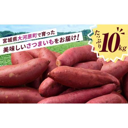 ふるさと納税 さつまいも 約10kg ふくむらさき 加工用 大きいサイズ サツマイモ 宮城県産 甘い 秋 冬 スイーツ いも 産地直送 宮城県 大河原町 宮城県大河原町の画像